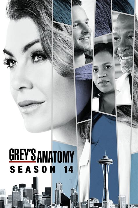 grey's anatomy season 14 fullrip